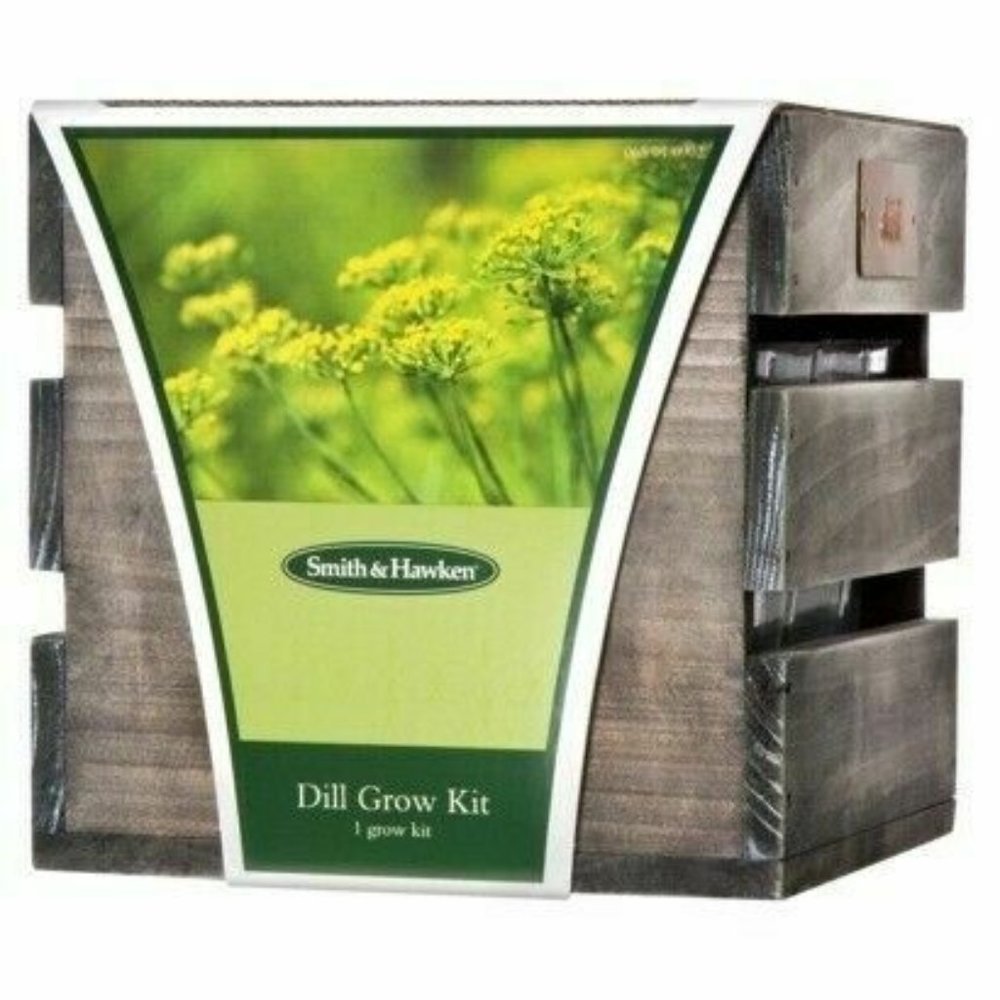 Smith & Hawken Dill Grow Kit in Wood Box